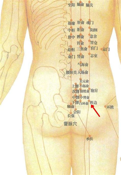 還跳穴|環跳穴可改善坐骨神經痛,腰腿痛,怕冷